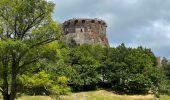 Randonnée Marche Murol - La Dent du Marais - Photo 2