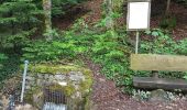 Trail Walking Oberlarg - Oberlarg - sa grotte - la ferme des Ebourbettes - le château de Morimont - Photo 8