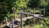 Randonnée Marche Grammont - Promenade sur des rondins de bois à Idegem - Photo 2