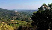 Tour Mountainbike Ramatuelle - VTT Mataranne - Paillas - Gassin - St Tropez - Photo 10