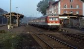 Tour Zu Fuß Neukirchen bei Sulzbach-Rosenberg - Rundwanderweg No.3 Neukirchen - Photo 3