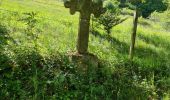Trail Walking Rouffach - Rando CLAS JEUDI..29/05/2025 - Photo 8