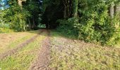 Trail Walking Villiers-sur-Loir - Villiers-sur-Loir Circuit PR (Promenade et Randonnée) - Photo 20