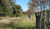 Tour Zu Fuß Vöhl - Nationalparkrundweg Fahrentriesch-Route - Photo 1