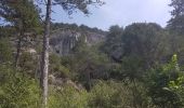 Tocht Noords wandelen Saint-Étienne-de-Gourgas - Aubaïgues - Mas Caisso - Roc de l'Eglise - Photo 15