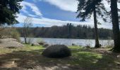 Trail Walking Le Bez - Bois de Merle - Photo 1