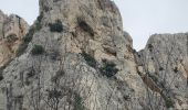 Tour Wandern Aubagne - St jean de garguier - Photo 17