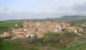 Excursión Senderismo Los Arcos - Camino Francés - Etp7 - Los Arcos - Logroño - Photo 4