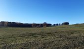 Tour Wandern Lierneux - lierneux . promenade aérienne dans la vallee de la lienne - Photo 5