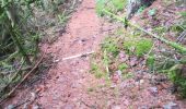 Trail Walking La Roche-en-Ardenne - Maboge  - Photo 6