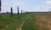 Tour Wandern Siena - Sienne /  Ponte d'Arbia - Photo 6