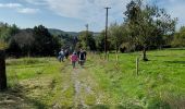 Percorso Marcia Mettet - ermeton sur biert (dép football) rando Pirou - Photo 2