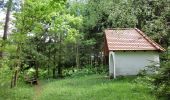 Tour Zu Fuß Waischenfeld - Waischenfeld Rundwanderweg grüner Ring - Photo 5