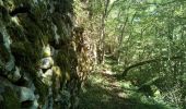 Trail Walking Capoulet-et-Junac - Le Vicdessos par Illié - Photo 1
