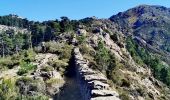 Trail Walking Rosazia - Monte Cervellu - Photo 2