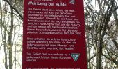 Tocht Te voet Bodenwerder - Über die Himckeburg ins romantische Rühler Tal - Photo 3