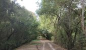 Percorso Marcia Dax - Boucle le long de l Adour - Photo 12