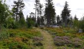 Trail Walking Le Bonhomme - Circuit de la Tête des Faux - Photo 1