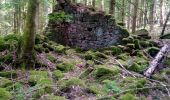 Trail On foot Mudau - Rundwanderweg Reisenbacher Grund 2 - Photo 5