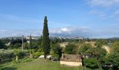 Tour Wandern Cheval-Blanc - PF-Cheval-Blanc - Canal de Carpentras - le Grand Défens - Photo 9