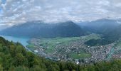 Trail On foot Flühli - Brienzergratweg - Photo 10