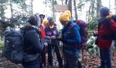 Tocht Stappen Saint-Jean-d'Arvey - Mont Peney en circuit - Photo 8