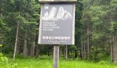 Tocht Stappen Innichen - San Candido - J1 Refuge Dreischusterhütte - Photo 1