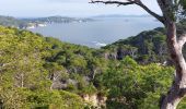 Excursión Senderismo Hyères - Giens boucle ouest - Photo 8