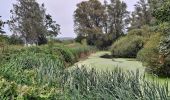 Trail Walking Condé-sur-l'Escaut - Boucle par la Grande Redoute - Photo 8