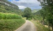 Trail Walking Marchamp - Cérin - Photo 12