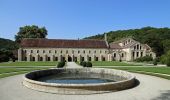 Trail On foot Marmagne - Circuit de l'Abbaye - Photo 6