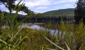 Tour Wandern Philippsburg - Étang de Hanau / Circuit de découverte  - Photo 19