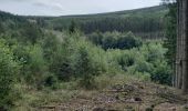 Tour Wandern La Roche-en-Ardenne - Samrée août 23 - Photo 2