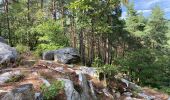 Tocht Noords wandelen Fontainebleau - Âpremont les gorges  - Photo 5