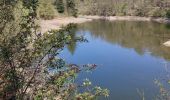 Tour Wandern Weismes - Balade de rêve 17 - Du lac aux sources de Quareu - Photo 1