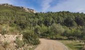 Trail Walking Cuers - En dessous des Barres de Cuers  - Photo 7