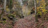 Randonnée Marche Viroinval - nismes. fondry des chiens  - Photo 1