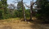 Trail Walking Saint-Nectaire - LES GROTTES DE CHATEAUNEUF DEPUIS LE CAMPING DU VIGINET - Photo 7