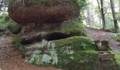 Randonnée Marche Pierre-Percée - Lac de la Pierre-Percée - château de Salm - grotte des Poilus et l'observatoire - Photo 20