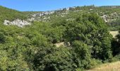 Percorso Equitazione Revest-du-Bion - Provence 2025 J5 - Photo 1