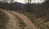 Percorso Marcia Saillans - Saillans-col des Vallons- la Montagne - Photo 1