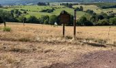 Randonnée A pied Stoumont -  Marche Adeps Rahier 12 Km  - Photo 8