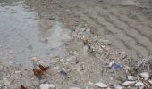 Trail Walking Le Saix - Le Fai - Lac de Peyssier - Photo 10