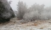 Randonnée Marche Theux - dans le givre de Crambon  - Photo 13