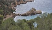 Excursión Senderismo Bandol - Bandol à Port d’Alon, retour par les Engraviers - Photo 4