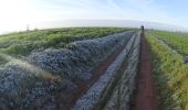 Excursión Bici de montaña Seneffe - Seneffe_20191110_083430 - Photo 2