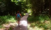 Trail Walking La Bresse - Lac de Lispach et sentier Dielaine  - Photo 8