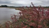 Randonnée Vélo de route Arcachon - Les 7 Ports de Gujan-Mestras 10.4.23 - Photo 12