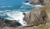 Tour Wandern Plogoff - pointe du Raz - Photo 13