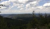 Trail Horseback riding Turquestein-Blancrupt - petit donon  - Photo 6